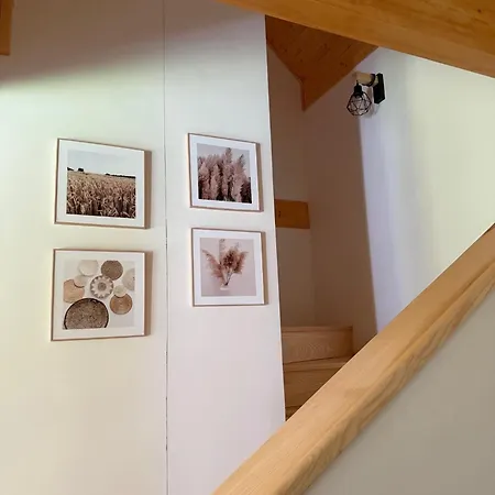 Na Vysočině Prázdninový dům *